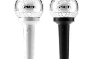 2ne1 official light stick